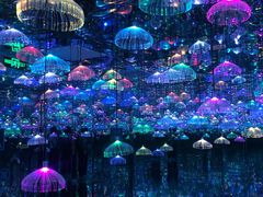 -天津梵高星空艺术馆(天河城旗舰店)