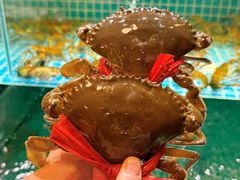 -聚味斋香辣蟹·蓝龙(塘沽总店)