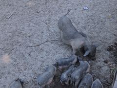 -长兴太湖图影湿地文化园