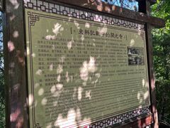 -佛慧山