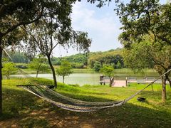 -福建鲤鱼洲酒店