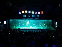 -泉城欧乐堡海洋极地世界