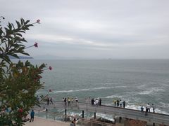 -大梅沙海滨公园