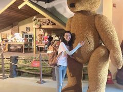 -济州岛泰迪熊博物馆