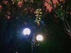 -花博汇(知音花月夜)