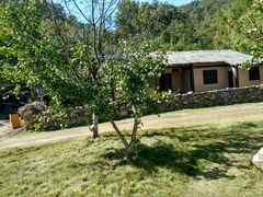 -千年银杏谷文化旅游区