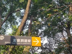 -龙泉洞(沙坪坝区)