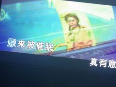 -黑桃K生日订制KTV