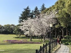 -黄兴公园