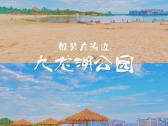 -九龙湖公园