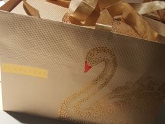 -BLACKSWAN黑天鹅(环球店)