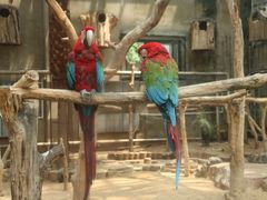 -大连森林动物园