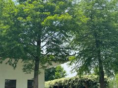 -漩门湾国家湿地公园