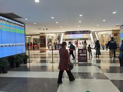 -上海中医药大学附属曙光医院(东部)