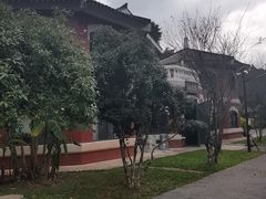 -庾园