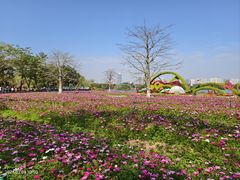 -海珠湖公园