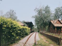-西青郊野公园
