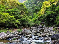 -龙湾潭国家森林公园