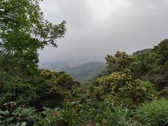 -广州市白云山风景名胜区