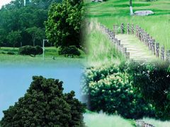 -红花山公园