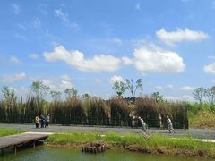 -泗洪洪泽湖湿地景区