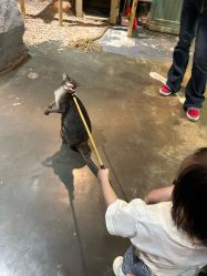 -Zoolung Zoolung动物主题公园(海信广场店)