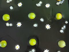 -老版火锅.12年西安排队王(沣峪口店)