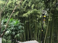 -龙头寺公园