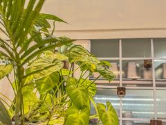 -绿小院(荔湾店)