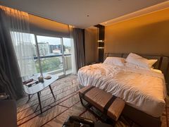 -新加坡瑞士史丹福酒店