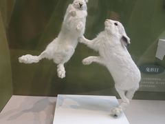 -国家自然博物馆