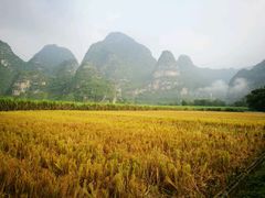 -大新明仕山庄