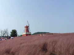 -羊亭河湿地公园