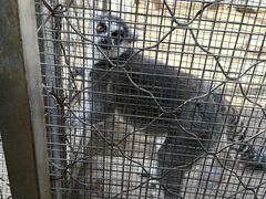-大青山野生动物园