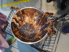 -盒马鲜生(宝地店)