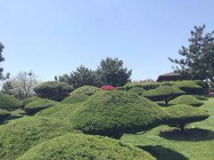 -日照灯塔风景区