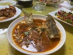 -煲来饱去冷水鱼