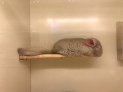 -龙猫仔乐园(惠福东路店)