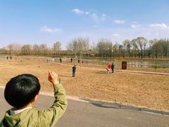 -潇河湿地公园
