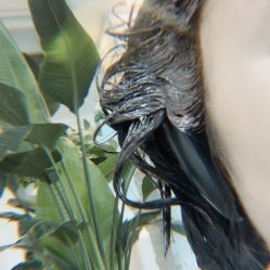 -美丽匯形象定制