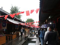 -茯茶镇