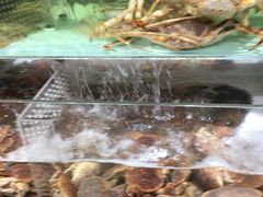 -盒马X会员店(王府井奥莱UP TOWN店)