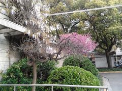 2013-04-06 17.20.48-上海市宝山区罗店医院