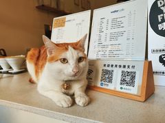 -WATER CAFE(广厦店)