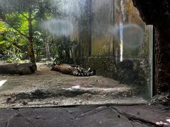 -河川生态园