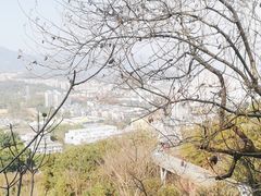 -梅峰山地公园