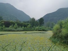-田峪河公园