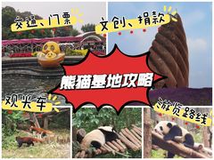-成都大熊猫繁育研究基地