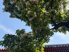 -承恩寺