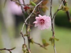 -白塘生态植物园